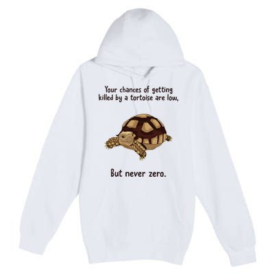 Your Chances Of Getting Killed By A Tortoise Are Low Premium Pullover Hoodie