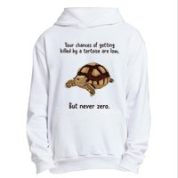 Your Chances Of Getting Killed By A Tortoise Are Low Urban Pullover Hoodie