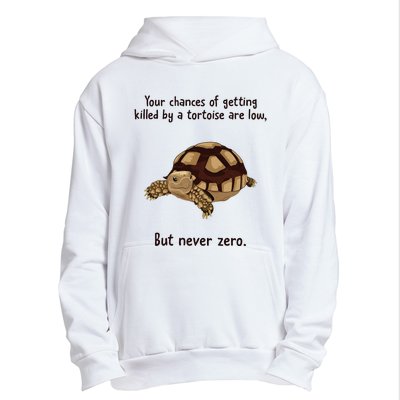 Your Chances Of Getting Killed By A Tortoise Are Low Urban Pullover Hoodie