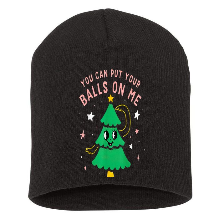 You Can Put Your Balls On Me Chrismast 2024 Short Acrylic Beanie