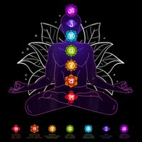 Yoga Chakra Spiritual Body System Meditation 16 in Basic Backpack