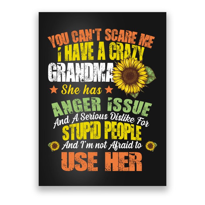 You Can't Scare Me I Have A Grandma With Anger Issues Poster