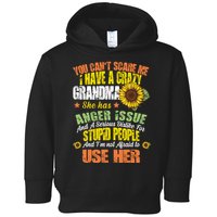 You Can't Scare Me I Have A Grandma With Anger Issues Toddler Hoodie