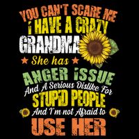 You Can't Scare Me I Have A Grandma With Anger Issues Wool Snapback Cap