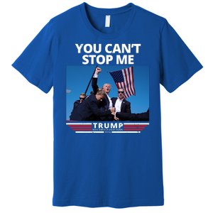 You Cant Stop Me Make America Great Again Trump 2024 Premium T-Shirt