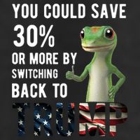 You Could Save More By Switching Back To Trump Funny 25L Jumbo Tote