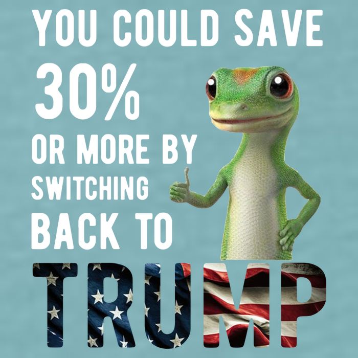 You Could Save More By Switching Back To Trump Funny Sueded Cloud Jersey T-Shirt
