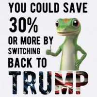 You Could Save More By Switching Back To Trump Funny Short Acrylic Beanie