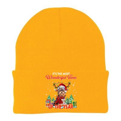 Yorkie Christmas Santa Lights Its The Most Wonderful Time Gift Knit Cap Winter Beanie