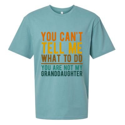 You Cant Tell Me What To Do You Are Not My Granddaughter Sueded Cloud Jersey T-Shirt