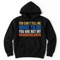 You Can't Tell Me What To Do You Are Not My Grandchildren Funny Hoodie
