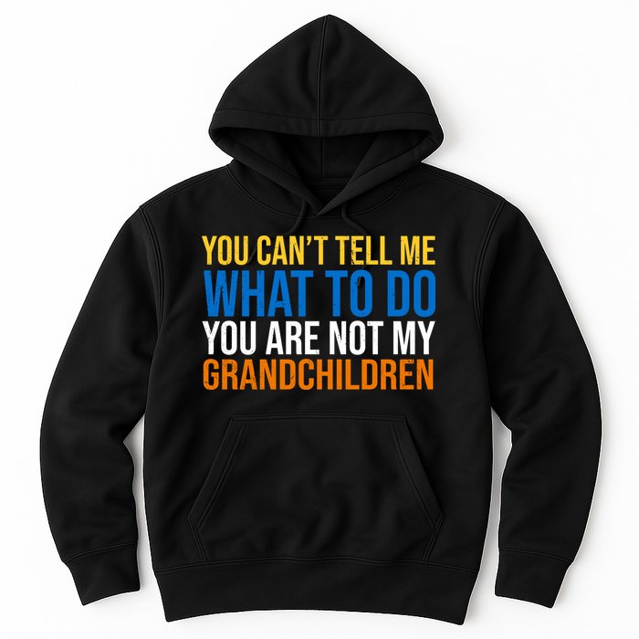 You Can't Tell Me What To Do You Are Not My Grandchildren Funny Hoodie