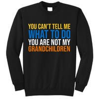 You Can't Tell Me What To Do You Are Not My Grandchildren Funny Sweatshirt