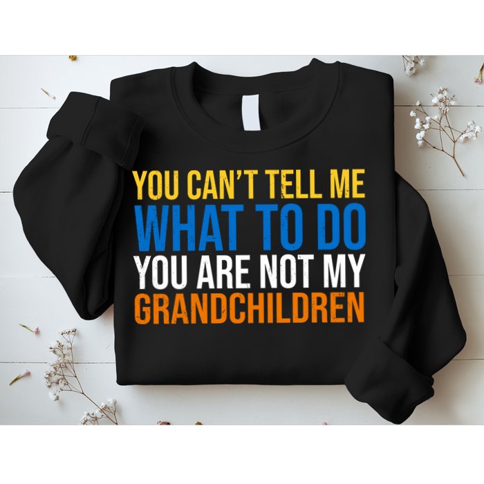 You Can't Tell Me What To Do You Are Not My Grandchildren Funny Sweatshirt