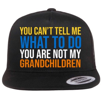 You Can't Tell Me What To Do You Are Not My Grandchildren Funny Flatbill Hat