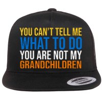 You Can't Tell Me What To Do You Are Not My Grandchildren Funny Flat Bill Trucker Hat