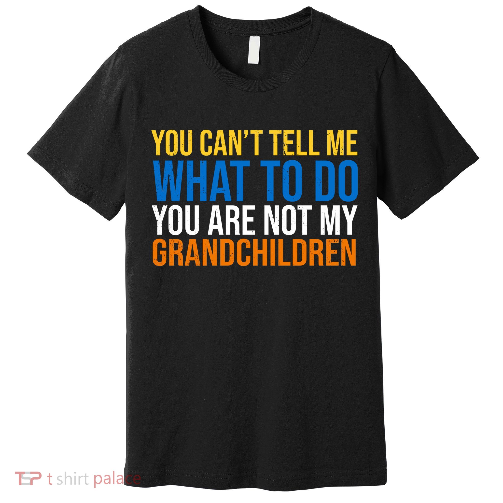 You Can't Tell Me What To Do You Are Not My Grandchildren Funny Premium T-Shirt
