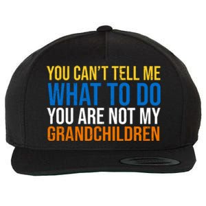 You Can't Tell Me What To Do You Are Not My Grandchildren Funny Wool Snapback Cap