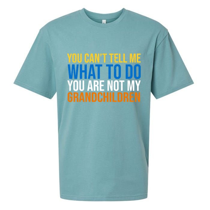 You Can't Tell Me What To Do You Are Not My Grandchildren Funny Sueded Cloud Jersey T-Shirt