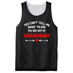 You CanT Tell Me What To Do You Are Not My Grandbaby Mesh Reversible Basketball Jersey Tank