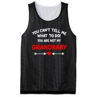 You CanT Tell Me What To Do You Are Not My Grandbaby Mesh Reversible Basketball Jersey Tank