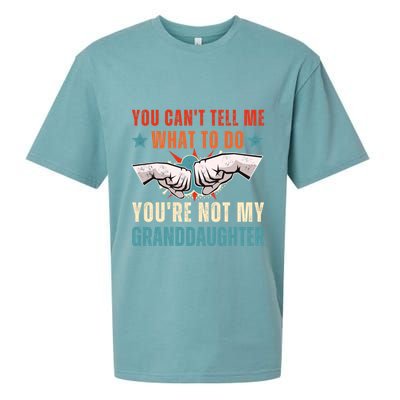 You Cant Tell Me What To Do Youre Not My Granddaughter Sueded Cloud Jersey T-Shirt