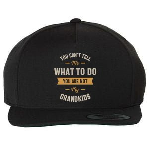 You CanT Tell Me What To Do You Are Not My Grand Wool Snapback Cap