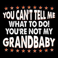 You Can't Tell Me What To Do You're Not My Grandbaby 7-Panel Snapback Hat