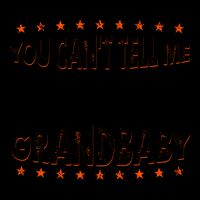 You Can't Tell Me What To Do You're Not My Grandbaby 16oz Travel Tumbler