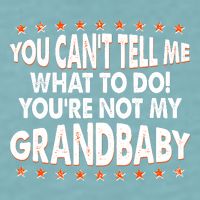 You Can't Tell Me What To Do You're Not My Grandbaby Sueded Cloud Jersey T-Shirt