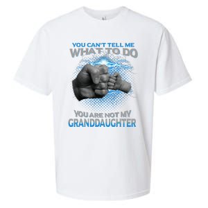 You Cant Tell Me What To Do Youre Not My Granddaughter Sueded Cloud Jersey T-Shirt