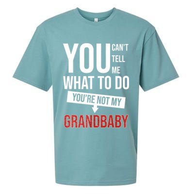 You Can't Tell Me What To Do You're Not My Grandbaby Sueded Cloud Jersey T-Shirt