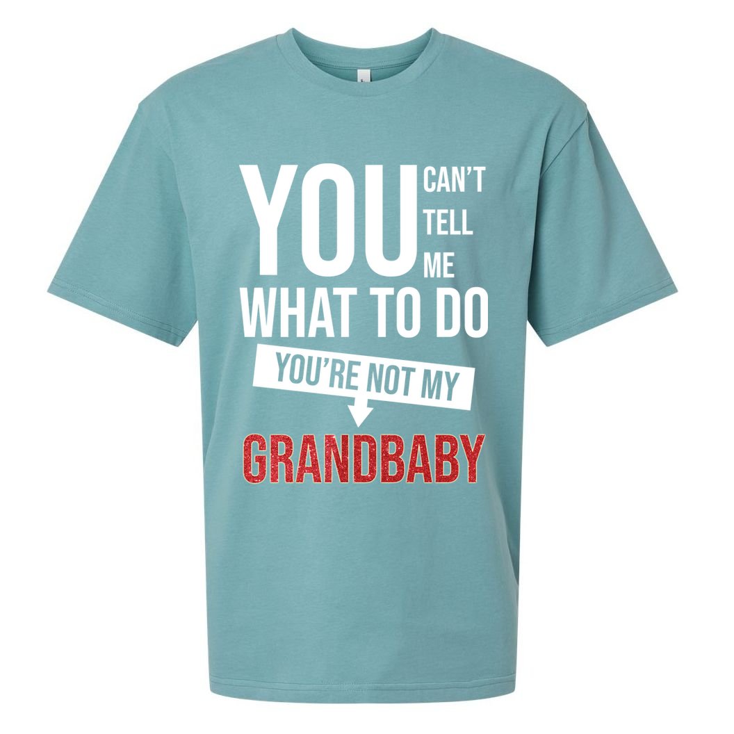 You Can't Tell Me What To Do You're Not My Grandbaby Sueded Cloud Jersey T-Shirt