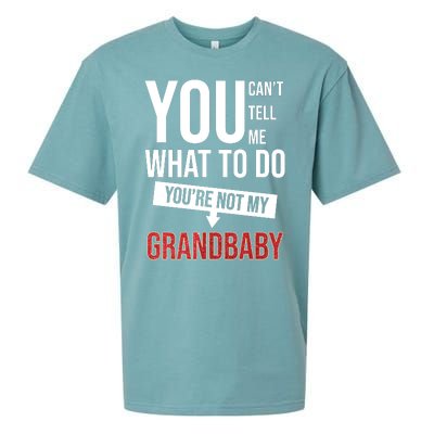 You Can't Tell Me What To Do You're Not My Grandbaby Sueded Cloud Jersey T-Shirt