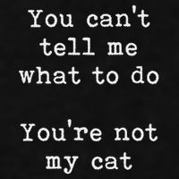 You Can't Tell Me What To Do You're Not My Cat Funny Feline Ladies PosiCharge Tri-Blend Wicking Tank