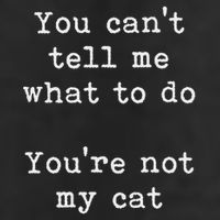 You Can't Tell Me What To Do You're Not My Cat Funny Feline Cool Comfort Performance Bucket Hat