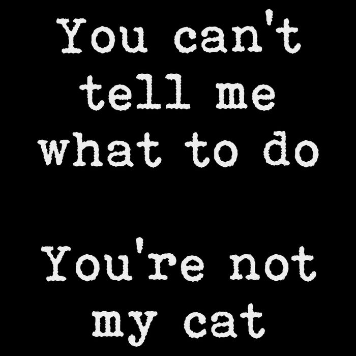 You Can't Tell Me What To Do You're Not My Cat Funny Feline Premium T-Shirt