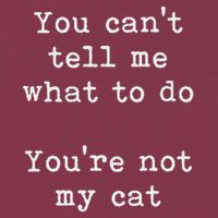 You Can't Tell Me What To Do You're Not My Cat Funny Feline 16oz Travel Tumbler