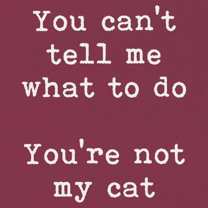 You Can't Tell Me What To Do You're Not My Cat Funny Feline 16oz Travel Tumbler