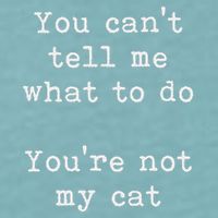 You Can't Tell Me What To Do You're Not My Cat Funny Feline Sueded Cloud Jersey T-Shirt