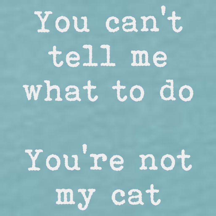 You Can't Tell Me What To Do You're Not My Cat Funny Feline Sueded Cloud Jersey T-Shirt