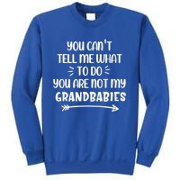 You Can't Tell Me What To Do You Are Not My Grand Gift Sweatshirt