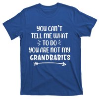 You Can't Tell Me What To Do You Are Not My Grand Gift T-Shirt