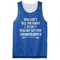 You Can't Tell Me What To Do You Are Not My Grand Gift Mesh Reversible Basketball Jersey Tank