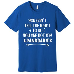 You Can't Tell Me What To Do You Are Not My Grand Gift Premium T-Shirt