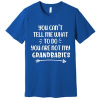 You Can't Tell Me What To Do You Are Not My Grand Gift Premium T-Shirt