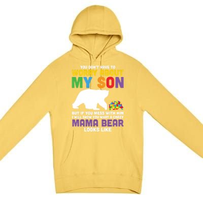 You DonT Have To Worry About My Son Autism Mama Bear Gift Premium Pullover Hoodie