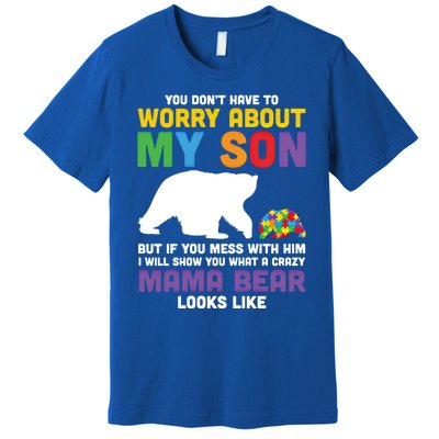 You DonT Have To Worry About My Son Autism Mama Bear Gift Premium T-Shirt