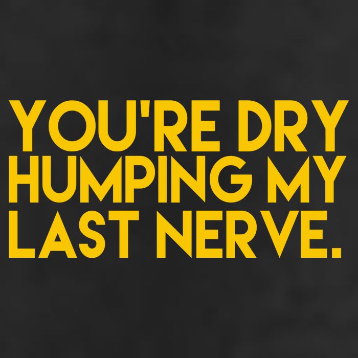 You're Dry Humping My Last Nerve Funny Hat