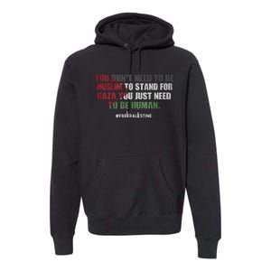 You DonT Need To Be Muslim To Stand For Gaza Premium Hoodie